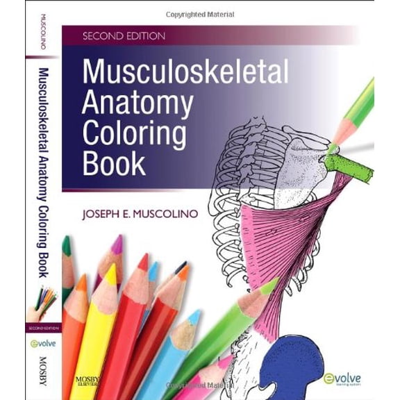 Pre-Owned Musculoskeletal Anatomy Coloring Book (Paperback) 0323057217 9780323057219