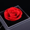 thumbnail image 4 of REGALO ROSA ETERNA CON COLLAR DIMENSIONAL, 4 of 5