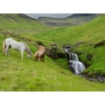 thumbnail image 2 of Burchett, P.H. 24x19 White Modern Wood Framed Museum Art Print Titled - Icelandic Horses I, 2 of 4