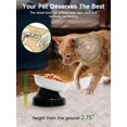 thumbnail image 4 of Y YHY 6-Inch Slow Feeder, Tilted Elevated Bowl for Dog and Cat, 4 of 7