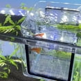 thumbnail image 3 of Caja de Aislamiento de Cría de Acuario Sunnimix Transparente para Bebé Guppy, 3 of 8