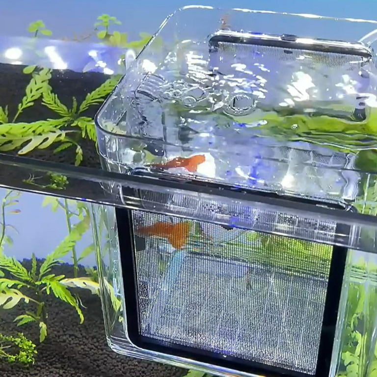 2 Pack Fish Breeding Box, 2 Pcs Fish Tank Breeder Net, Aquarium Separation  Net Nylon Incubator