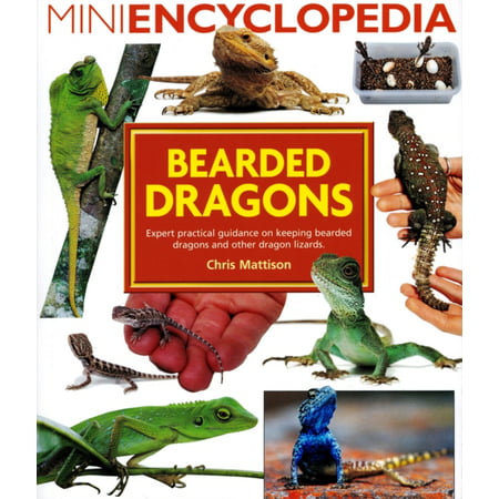 Mini Encyclopedia of Bearded Dragons. Expert advice on keeping bearded dragons and other dragon lizards (Best Size Vivarium For Bearded Dragon)