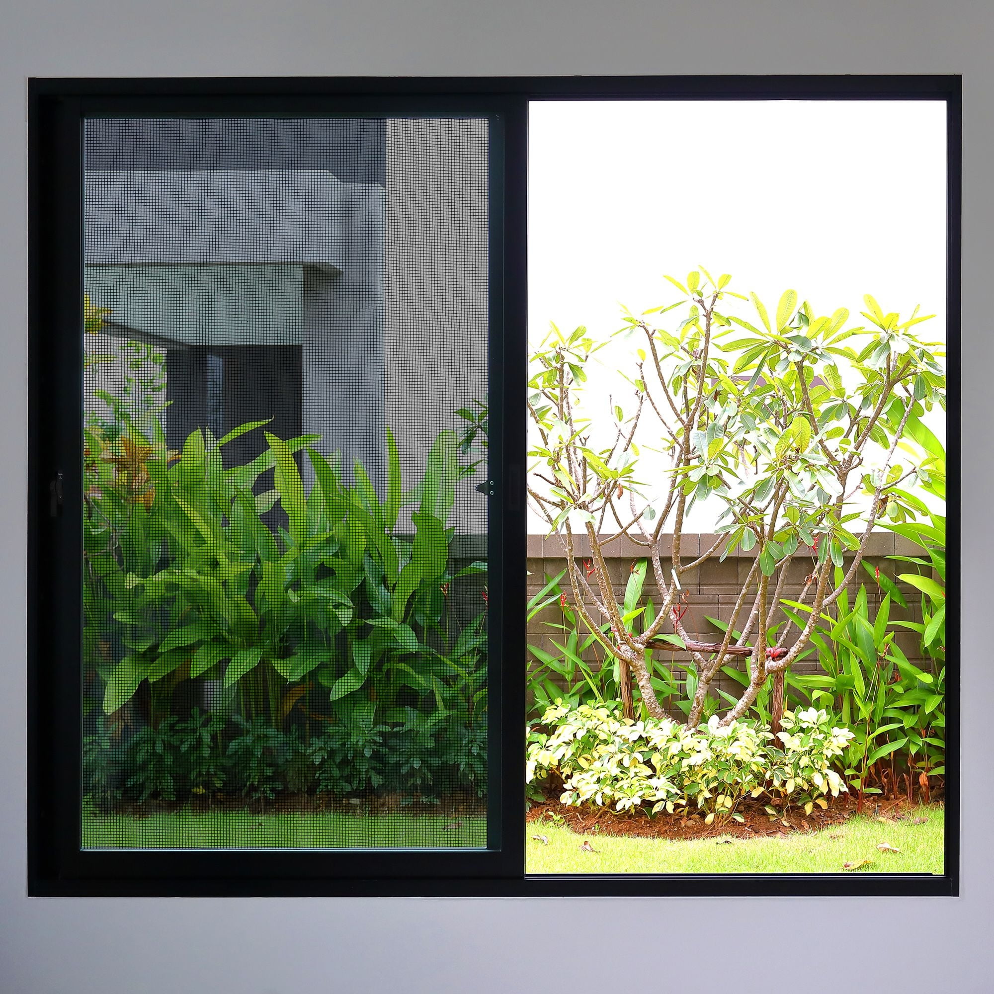 Replacement Adjustable Fiberglass Window Screen Mesh Roll for Patio, Windows, Sliding Doors (Black, 48 x 236.2 Inches)