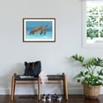 thumbnail image 3 of Art.com Ocean Sea Turtle I Art Print by Tim O'toole, Brown Frame Wall Art, 29" x 21", 3 of 5
