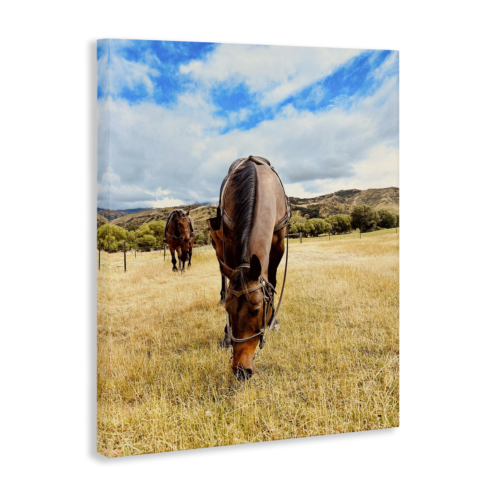 Stupell Industries Grazing Horses Pasture Animals Photography Wrapped Canvas Art Print Wall Art, 24 x 30