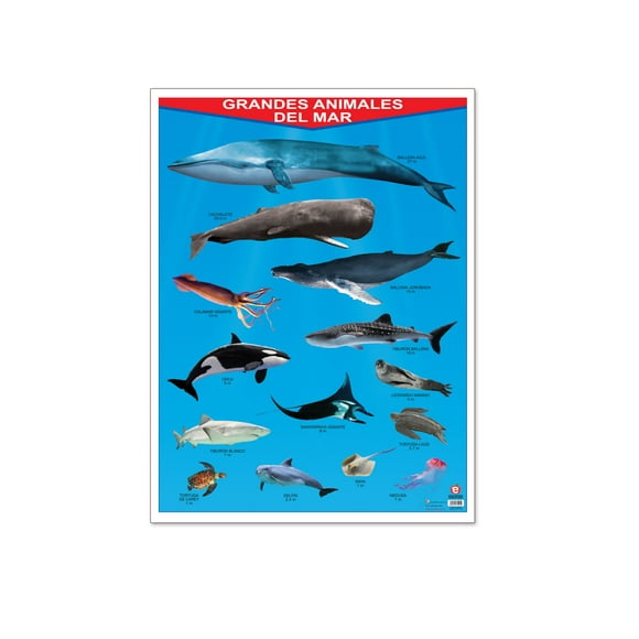 Póster Grandes Animales Del Mar Educatodo B-0860-I