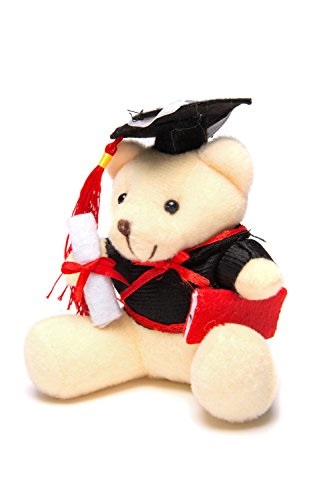graduation teddy bear walmart