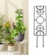 thumbnail image 1 of Enrejado para plantas trepadoras, soporte metálico para plantas en macetas, bricolaje, enrejado de jardín para flores, vid vegetal, interior y, 1 of 8