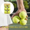 thumbnail image 2 of 12 Packs Pressure Matching And Training Tennis Balls, 2 of 2