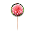 thumbnail image 1 of Peach blossom Beautiful Flowers Toothpick Flags Round Labels Party Decoration, 1 of 3