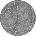 thumbnail image 1 of Ahgly Company Indoor Round Patterned Dim Gray Area Rugs, 7' Round, 1 of 6