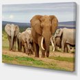 thumbnail image 2 of Large Elephant Herd in Africa - African Canvas Art Print, 2 of 3