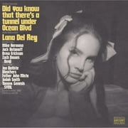 Did You Know That There’S A Tunnel Under Ocean Blvd (X) (2LP/180G) & Nfr! (2LP) & Born To Die & Ultraviolence & Lust For Life