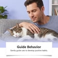 thumbnail image 6 of Mint Pet Training Spray 80ml, Attract and Soothe Dogs for Interactive Play, Calming Spray for Pets, 6 of 8