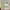 Green, variant on WBQ Buffalo Plaid French Door Curtains Farmhouse Check Privacy French Door Blinds for Glass Door Thermal Insulated Tie up Shade Curtains for Entryway Front Door, 1 Panel