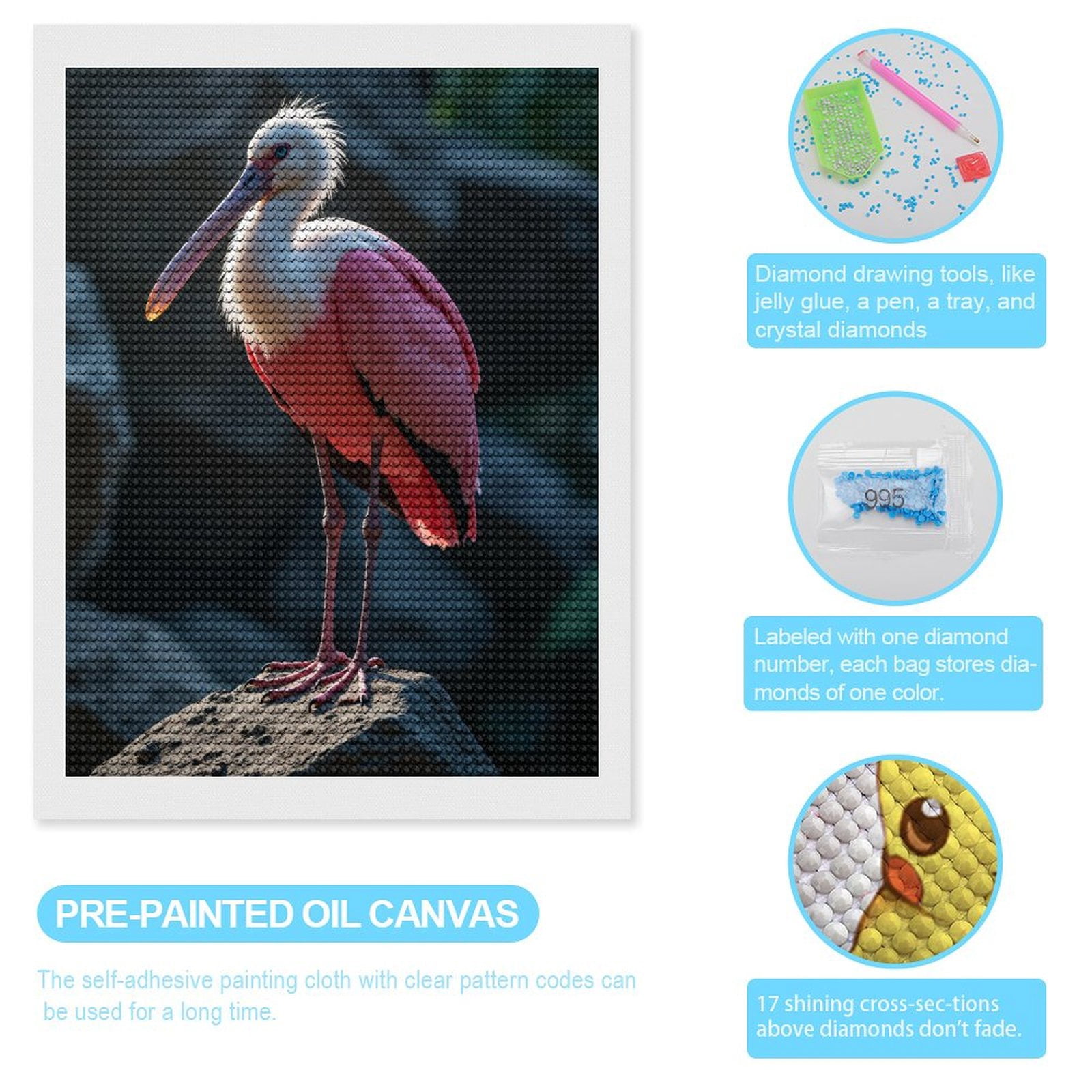 Diamond Art Kit for Adults, Feathered Elegance On Rocks Diamond Painting for Adults Beginners, 5D DIY Diamond Art Painting Kits, Colorful Diamond Painting Craft for Home Decor 12x16
