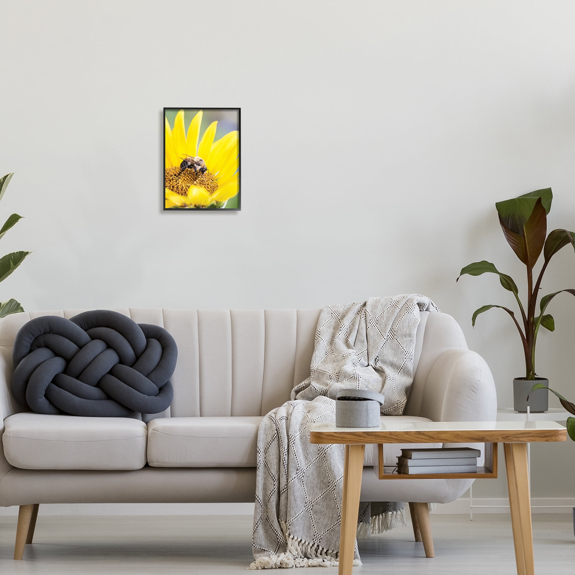 Stupell Industries Bee & Sunflower Photography Animals & Insects Photography Black Framed Art Print Wall Art, 11 x 14