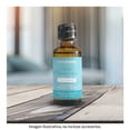 thumbnail image 4 of Fragancia Home Trends Connection 50 ml, 4 of 4