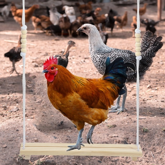 Baluue Parrot Swing Perch Chicken Swing Toy Synthetic Material 1Set