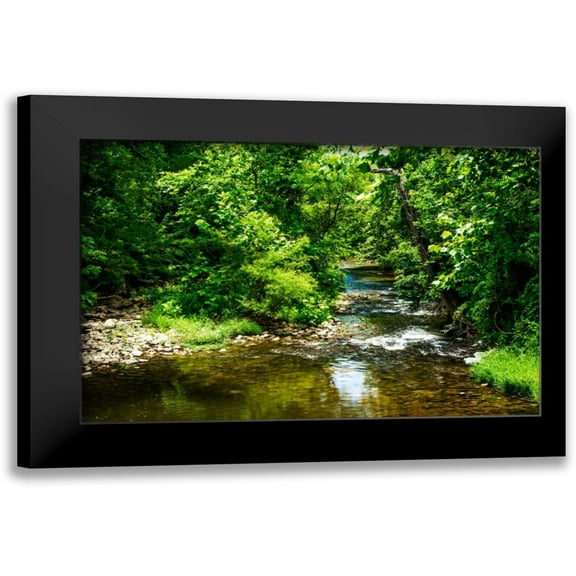 Hausenflock, Alan 14x11 Black Modern Framed Museum Art Print Titled - Small Mountain Stream I
