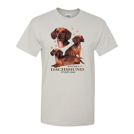 If Its Not a Dachshund It's Just a Dog Tee, Breed Puppy (Top 5 Best Puppy Food)