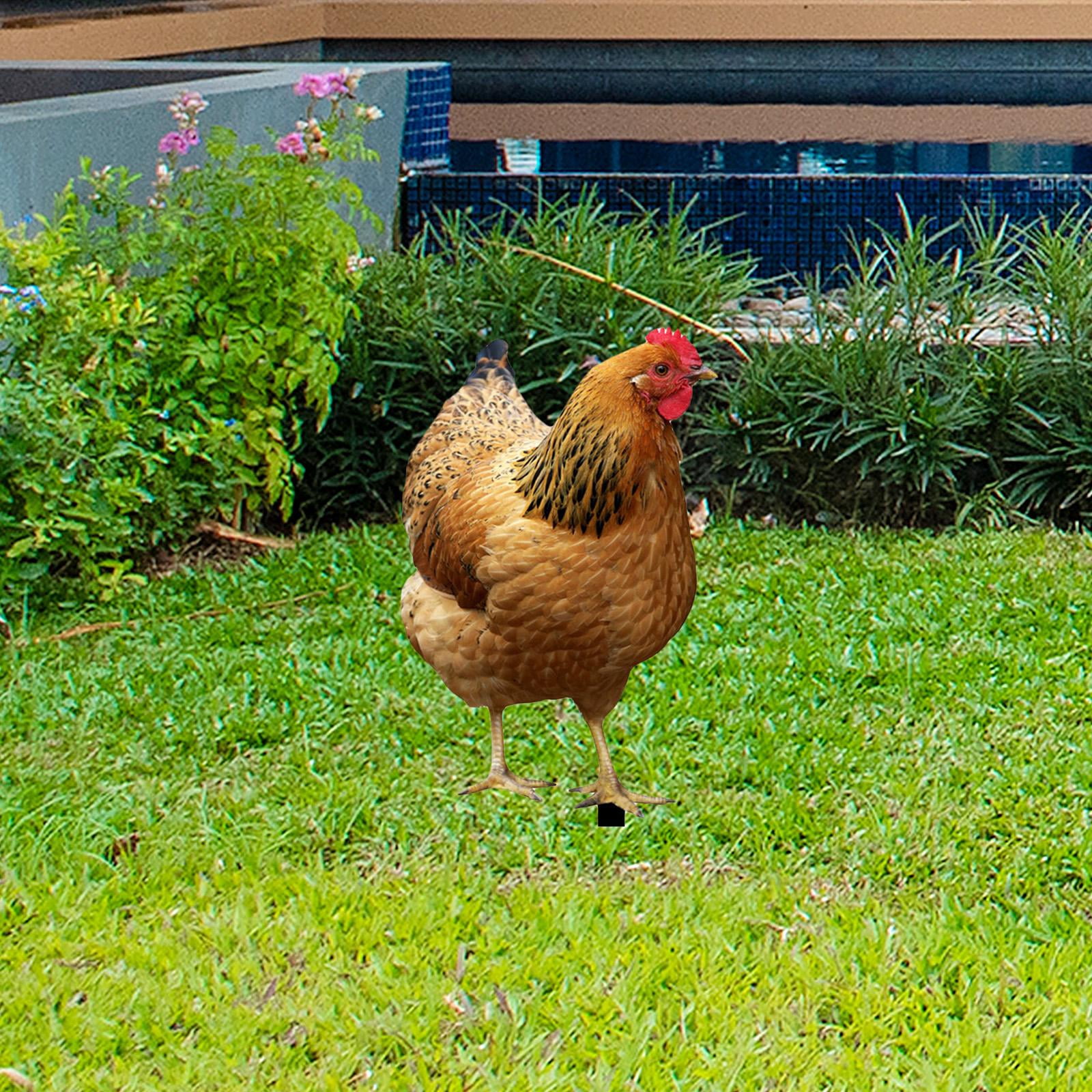 YWMJZEU Chicken Statue, Garden Stake, Animal Sculpture, Decorative Metal Chicken Figure, 31.5x17.4x0.1cm