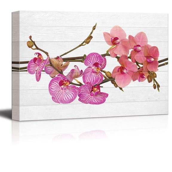 wall26 - Pink and Coral Orchid Flowers on a Branch Over White Wood Panels - Zen - Canvas Art Home Art - 24x36 inches