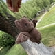thumbnail image 4 of Multifunctional Bat Shape Plush Charm for Keys and Bags Stuffed Animal Pendant Keychain Creative Halloween Accessory, 4 of 4