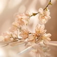 thumbnail image 2 of Perfume Elie Saab Le Parfum Eau de Parfum para mujer, 30 ml, 2 of 4
