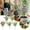 Pink, variant on zhonghuaying Flower Picks, Realistic Flower Stems, Natural-Looking Floral Sprays for Arrangements Yellow