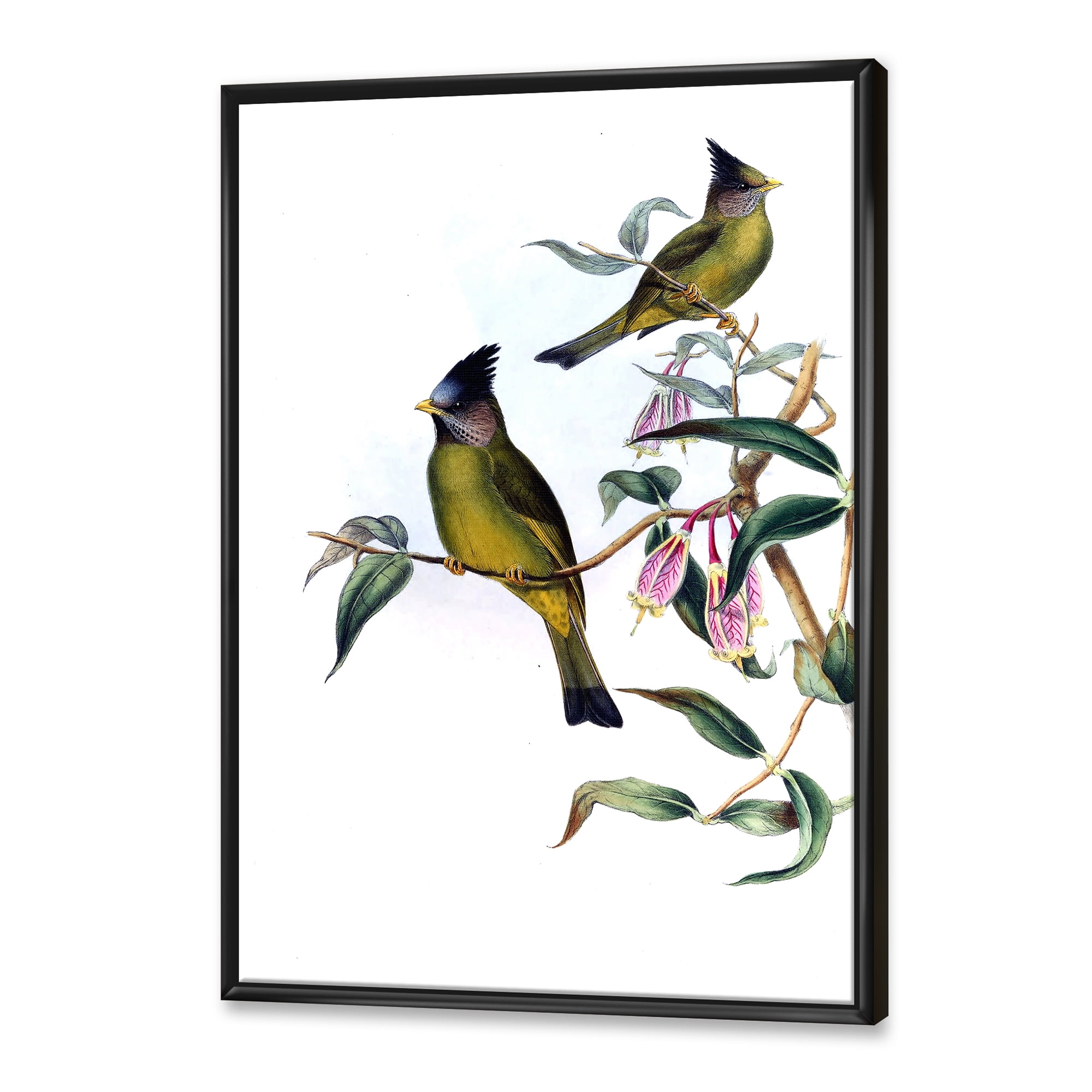 Designart 'Vintage Countryside Birds On Branch II' Farmhouse Framed Canvas Wall Art Print