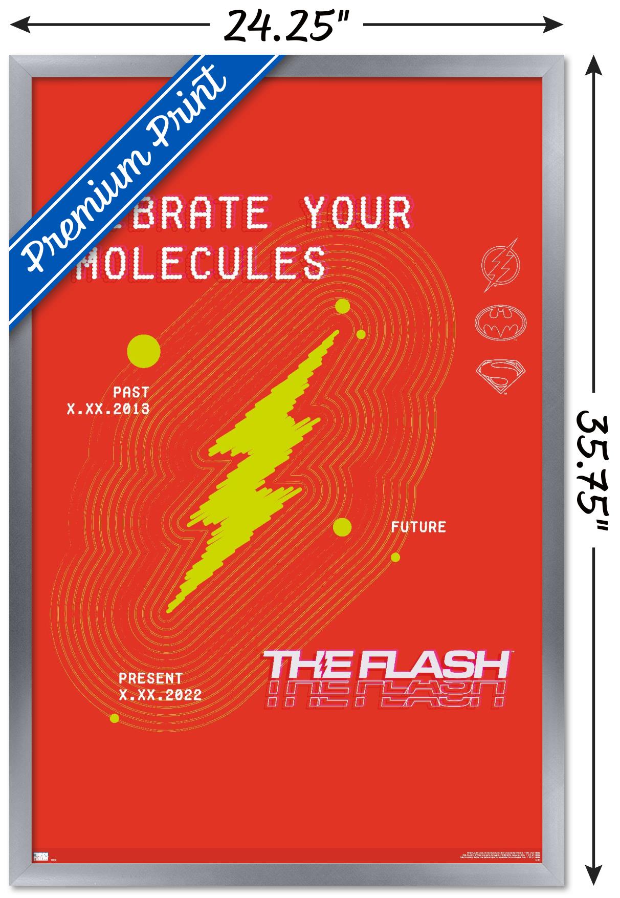 DC Comics Movie The Flash - Vibrate Your Molecules Wall Poster, 22.375" x 34" Framed