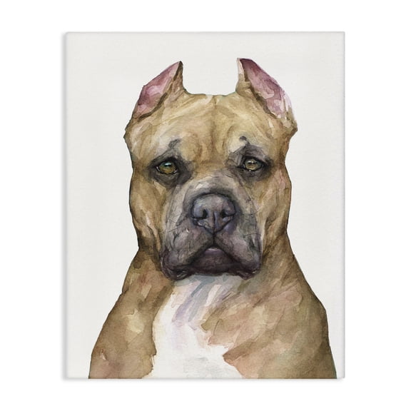 Stupell Industries Transitional Pit Bull Dog Pet Animal Watercolor Canvas Art, 24 x 30, by George Dyachenko