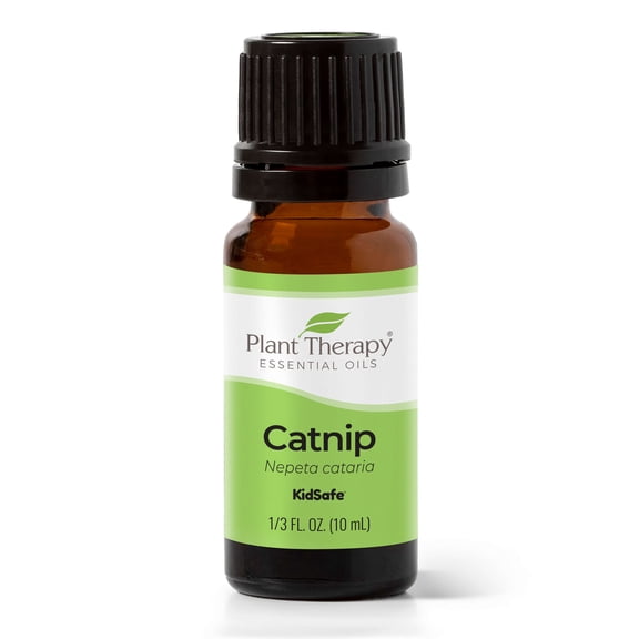 Plant Therapy Catnip Essential Oil 100% Pure, Undiluted, Natural Aromatherapy, Natural Aromatherapy 10 mL (1/3 oz)
