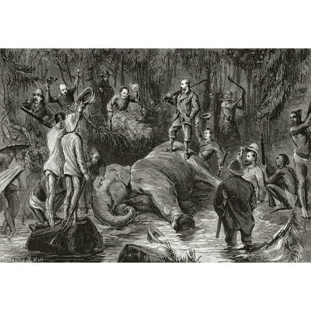 Albert Edward Prince of Wales future King Edward VII 1841 Canvas Art - Ken Welsh Design Pics (34 x 22)