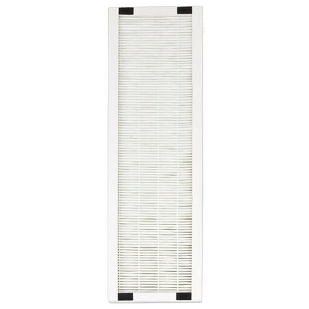 

AC-2062 HEPA Filter (set of 2) A high-efficiency air filter that captures 99.5% of airborne pollutant By SPT