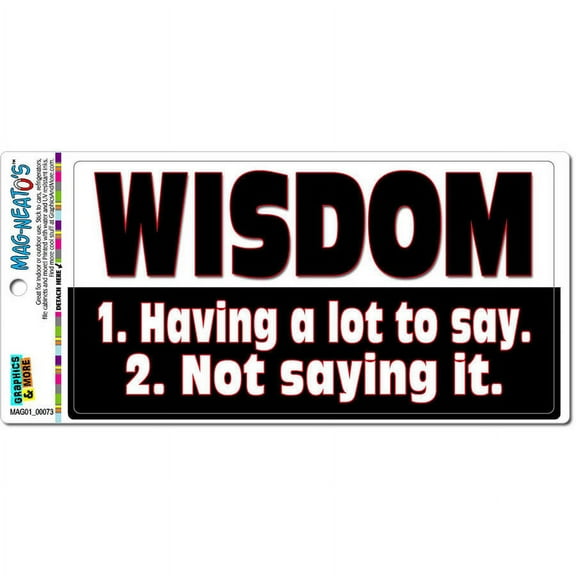Wisdom Having A Lot To Say Not Saying Funny Inspirational Automotive Car Refrigerator Locker Vinyl Magnet