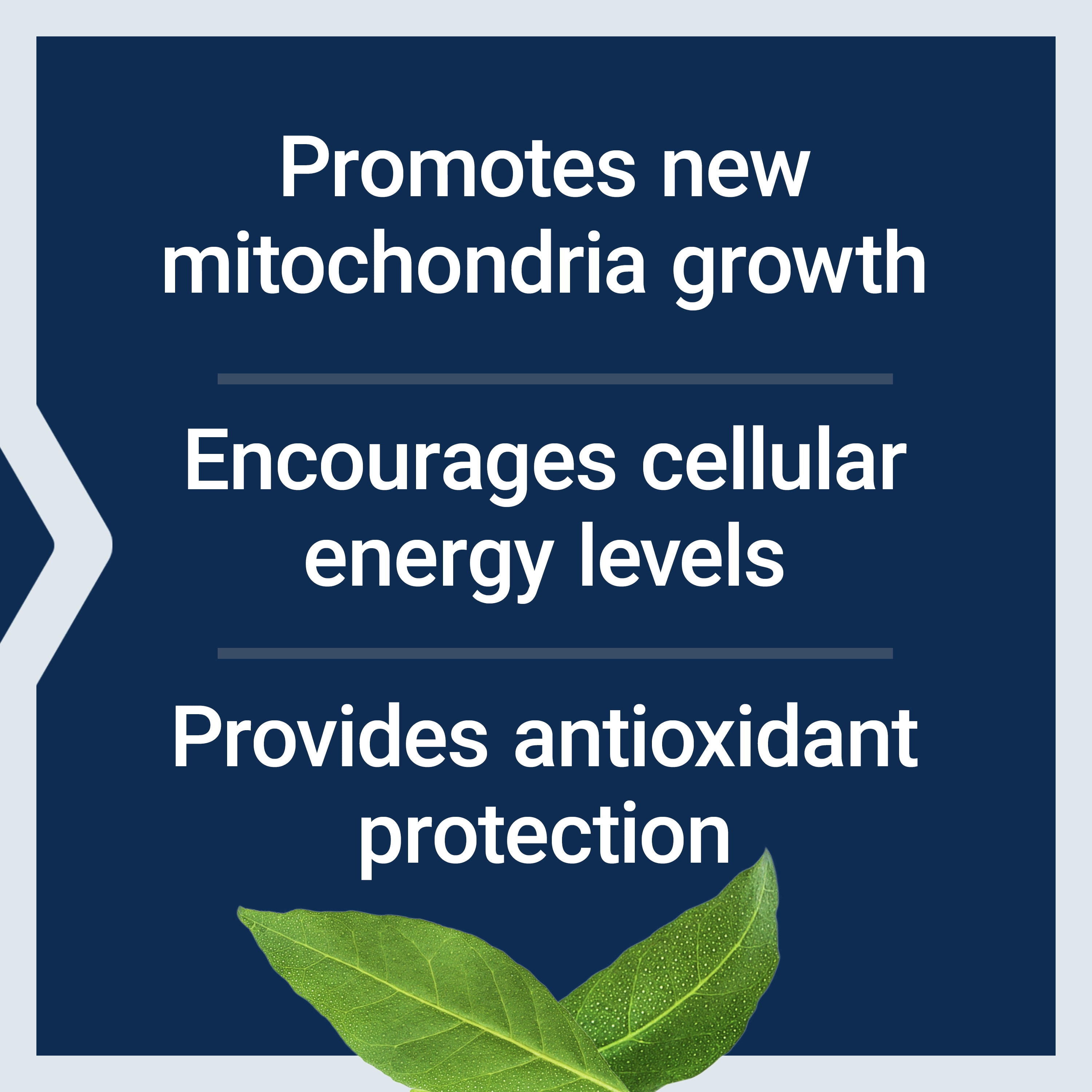 Life Extension PQQ, pyrroloquinoline quinone, 20 mg, promotes the growth of new mitochondria, gluten-free, non-GMO, vegetarian, 1 daily, 30 capsules