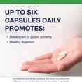 thumbnail image 2 of Metagenics SpectraZyme Gluten Digest Enzymes - Digestive Enzyme - Help Digest Wheat, Barley & Rye Grains* - Gut Health Supplement* - Non-GMO, Gluten-Free & Vegetarian - 40 Capsules, 2 of 7