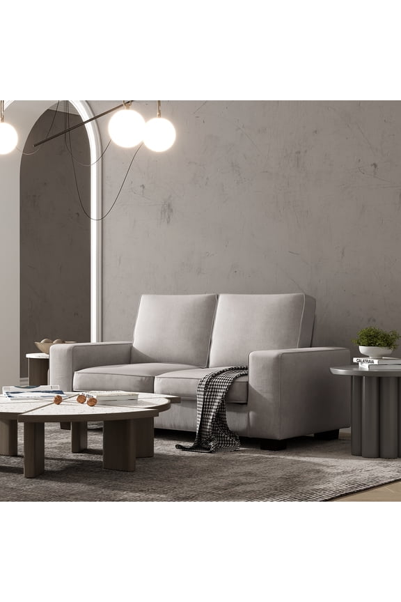 Modern Sofa 2 Seater Couch with Solid Wood Frame for Living Room Furniture Removable Back Cushion and Seat Cushion(Gary)