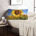 thumbnail image 6 of Daiia Sky Golden Sunflower Field A Bedding Waterproof Pillow Protector Zippered Queen – Bed Bug Proof Pillow Encasement-14"x20", 6 of 6