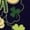 Navy, variant on Fun, Festive, And Shamrock-Themed ICEE Bear Men's Sweatshirt