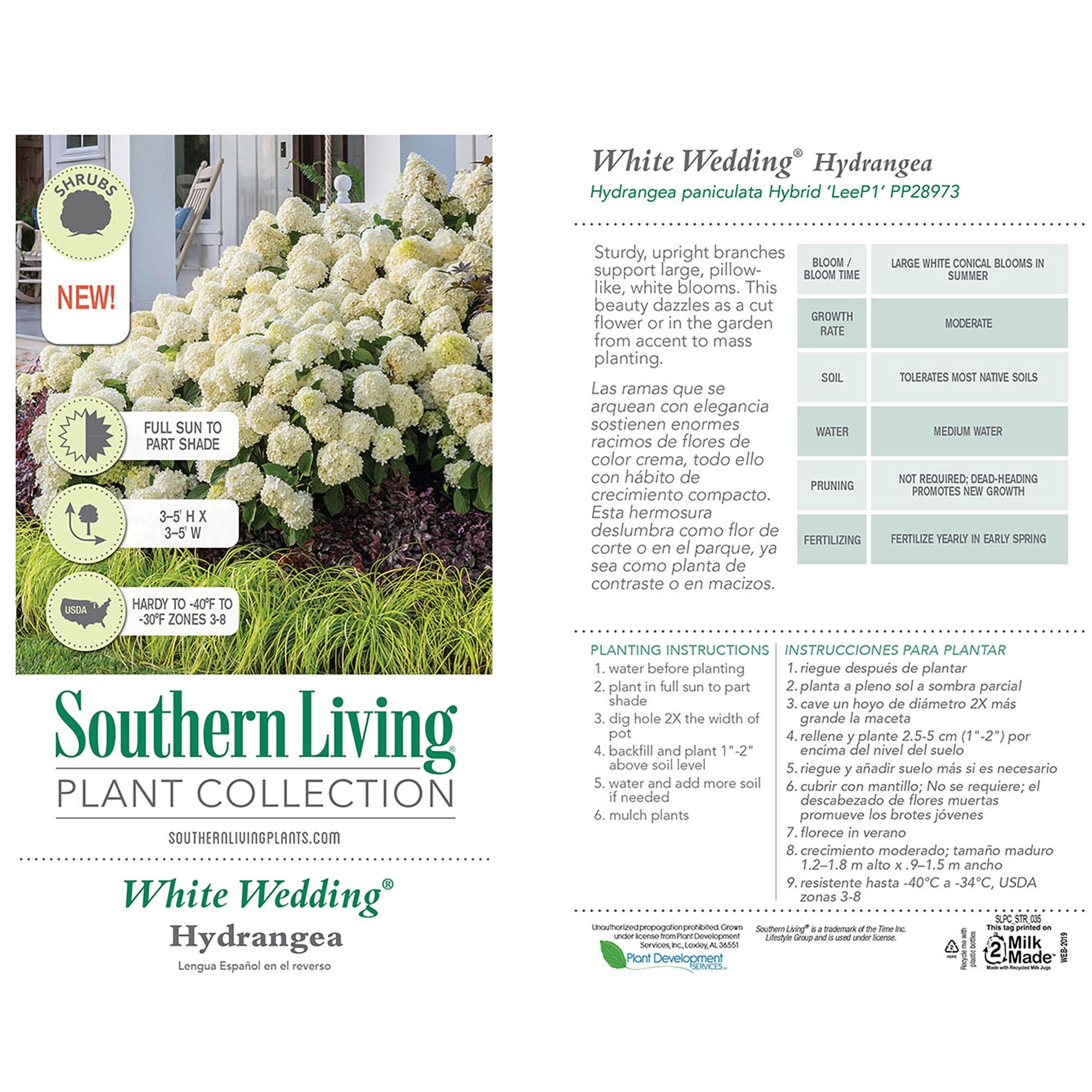 Southern Living Hydrangea White Wedding Live Shrub in 5-Gallon Grower Pot