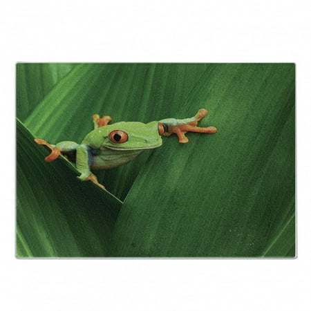 

Animal Cutting Board Red Eyed Frog Between Exotic Macro Big Leaves Wild Nature Night Animal Vivid Colors Decorative Tempered Glass Cutting and Serving Board Small Size Green by Ambesonne