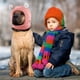 thumbnail image 3 of Orejas silenciosas para perros, orejeras para perros, protección contra el ruido, sombreros de punto para perros, orejas para mascotas, cubierta cálida para orejas de perro, sombrero de invi, 3 of 5
