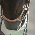 thumbnail image 4 of Martin Harness Leather Curb Strap, 4 of 4