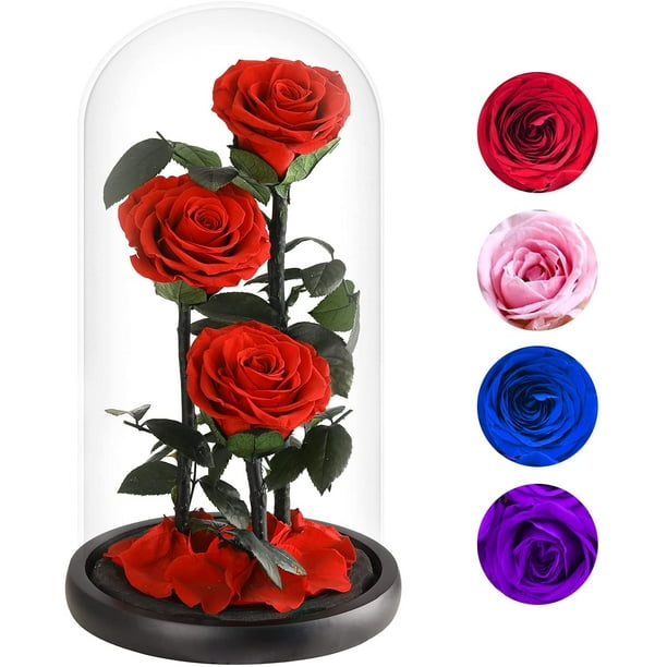 Preserved Real Rose,The Eternal Real Rose in A Glass Dome Will Last  Forever,Unique Gifts for Her/Wife/Mom/Valentine's Day/Mother's  Day/Birthday/Anniversary/ Decoration.(13inch Red) 