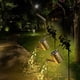 thumbnail image 1 of Wrought Iron Solar Powered Kettle Shower Projection Lamp | Outdoor Garden Decorative Light | 80cm Bracket | 36 LED String Lights | Waterproof | Energy Efficient | Warm White, 1 of 9