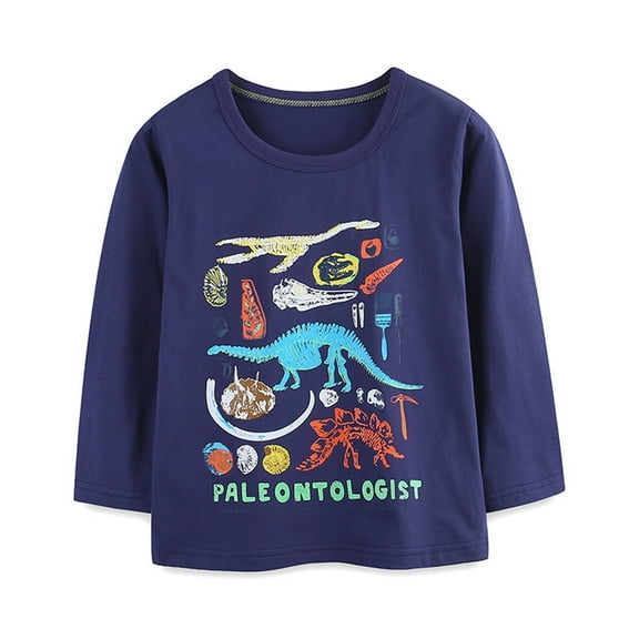 Hienoo Boys Dinosaur T Shirt Long Sleeve Round Neck T-Shirt Casual Loose Tshirt Top